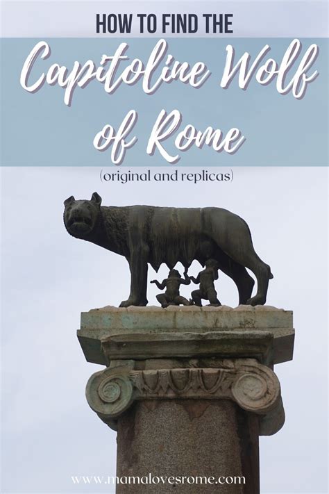 Where to see the Capitoline Wolf + all you need to know about 